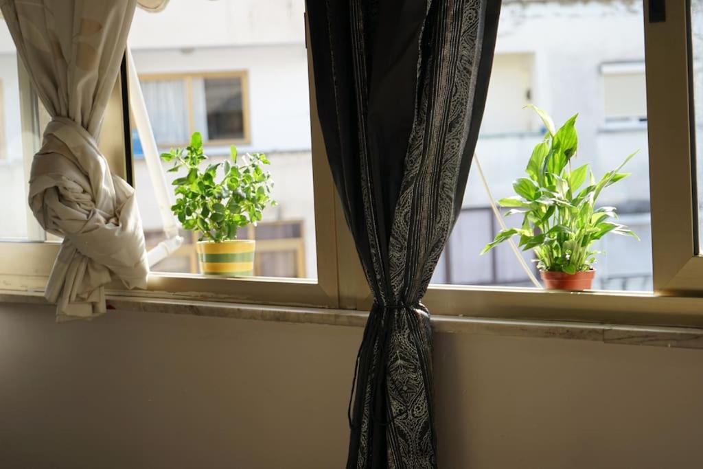 Tokaapartment Apartment
